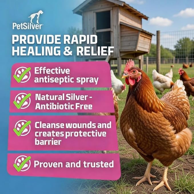 PetSilver Chicken Wound Spray for Chickens & Birds - Patented Silver Solution - Silver Spray for Wounds, Pecking Sores, Bumblefoot, Cuts, Burns, & Skin Irritations - Chicken Care - USA Made - 12 fl oz