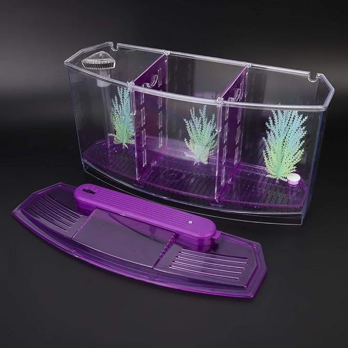 Three Areas Acrylic Small Aquarium, Mini Fish Tank, for Betta for Small Fishes(Purple)