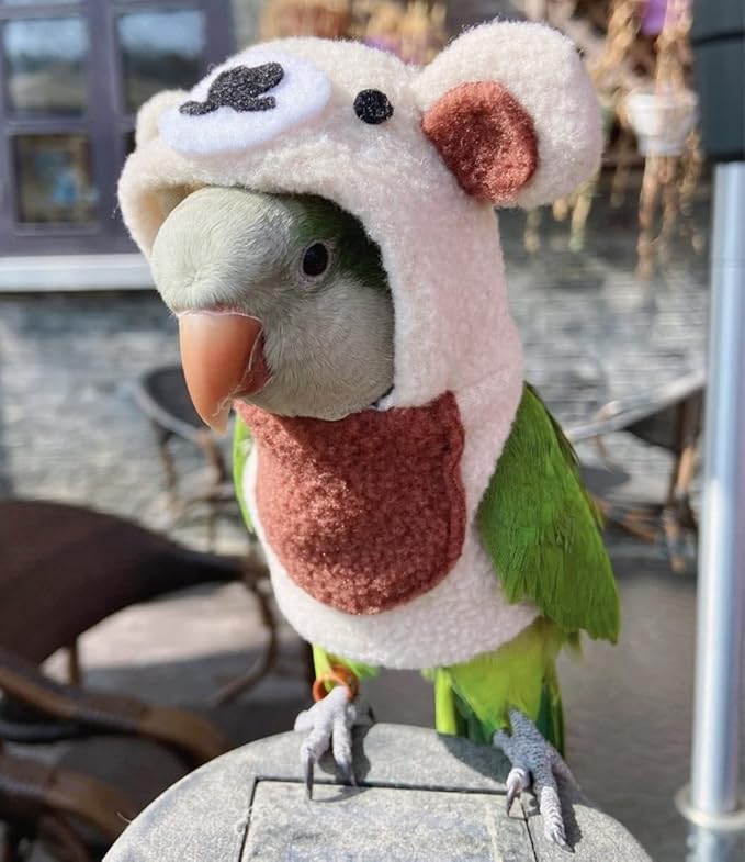 Bird Costume Bird Diaper Flight Suit Bird Bear Shape Bird Clothes Cosplay Photo Prop for Parrots Lovebird Parakeet Cockatiel Small Animals Apparel (Without Diaper,Senegal)