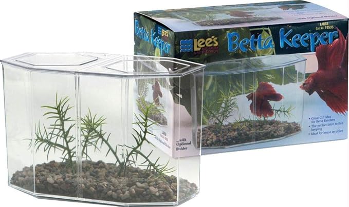 Betta Keeper Kit