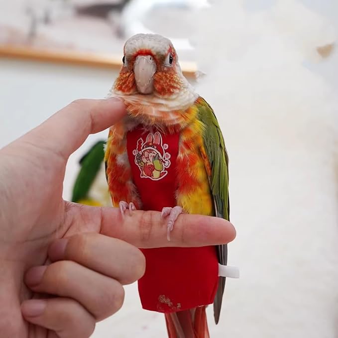 MANON ROSA Bird Diapers Leash Set Washable Reusable Handmade Flight Suit Waterproof Inner Layer - Protective Parrot Nappy Clothes Parakeets Macaws Budgies Canaries (Orange2,Caique)
