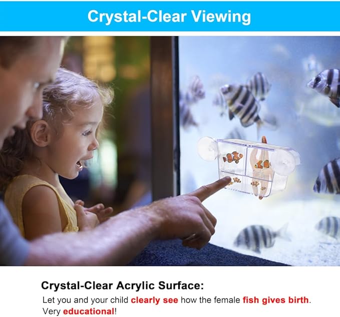 Fish Breeding Box Aquarium Holding Tank Transparent Fish Isolation Box Acclimation Hatchery Incubator Breeder for Betta Shrimp Clownfish Guppy(Size S)