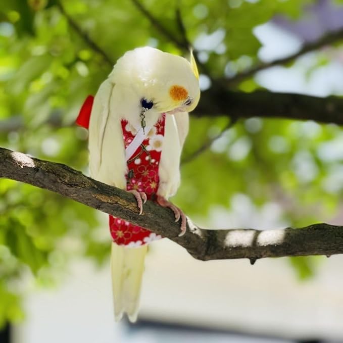 Bird Diaper Cockatiel Clothes Flight Suite, Reusable Parrot Nappy with Waterproof Inner Layer, Cute Pigeon Pants Urine Wet Suit Costume for Conure Macaw (Blue A,L)