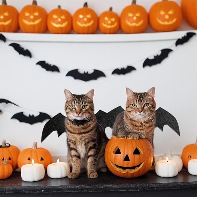 Pet Cat Bat Wings for Halloween,Soft Felt Costume for Cats & Dogs, Adjustable Straps, Cute Vampire Cosplay, Fun Halloween Photo Props Party Decoration Accessories (Black 16.54 x 6.3 inch)