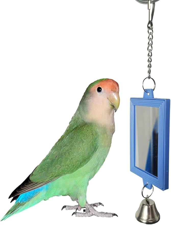 1Pc Random Color Pet Bird Mirror with Bell Interactive Parrot Toys for Budgies Parakeets Conures, Pet Supplies