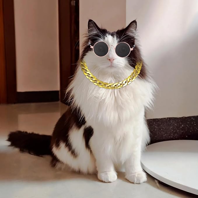 Cat Costume Sunglasses with Collar Chain, Retro Pet Eyeglasses Funny Kittens Costume Docorations Cosplay Dog Puppies Photo Props for Birthday (Gold)