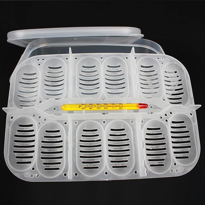 Angoily 2pcs Box Aquarium Breeder Box Incubator for Snakes Lizards Egg Tray Easy to Clean Random Color