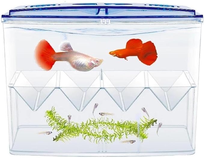 Fish Breeding Box Fish Isolation Box Separation Easy Use Multipurpose Fish Tank Hatchery Incubations Box for Shrimp Baby Fish