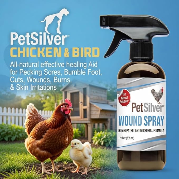 PetSilver Chicken Wound Spray for Chickens & Birds - Patented Silver Solution - Silver Spray for Wounds, Pecking Sores, Bumblefoot, Cuts, Burns, & Skin Irritations - Chicken Care - USA Made - 12 fl oz