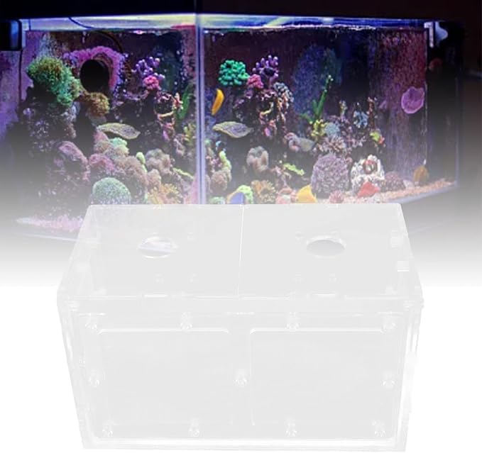 Fish Breeding Box, Acrylic Lid Web Page Fish Tank Incubator Protective Transparent for Aquarium Small Fish (17 * 9 * 10CM)