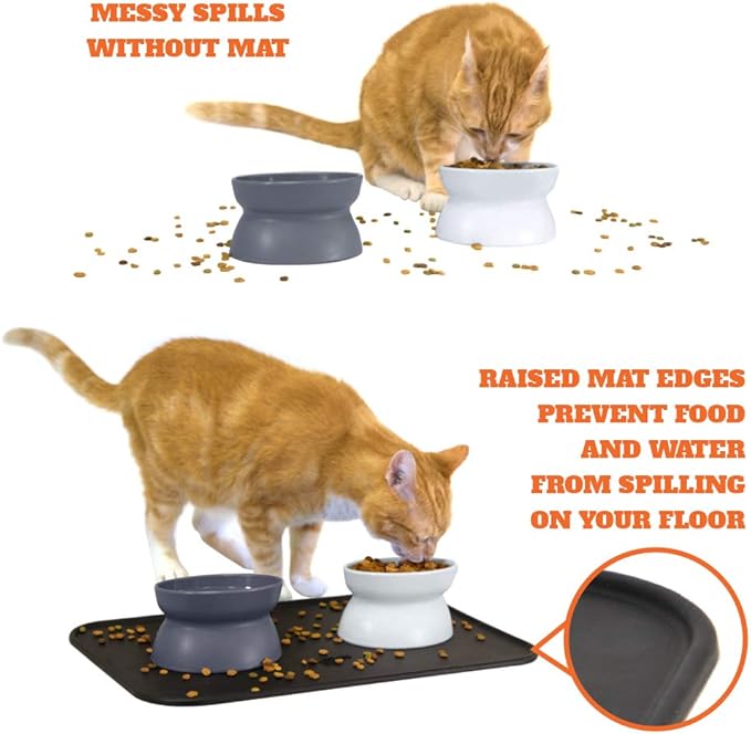 Kitty City Raised Cat Food Bowl Collection/Stress Free Pet Feeder and Waterer and Slow Feed Bowls