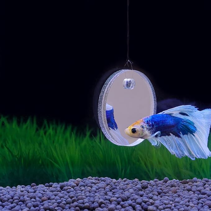 Betta Training Mirror Fish for Tank Fish Antidepressant Work Out Special for Betta Fitness Mirror Betta Toys Mirror Aquarium Decor (7cm)