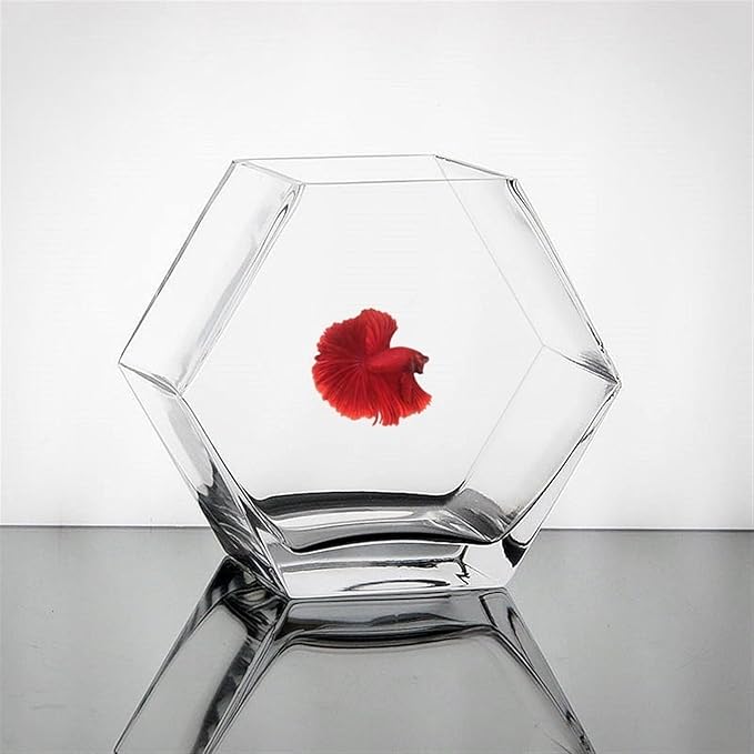 Fish Bowl Fish Tank Small Hexagonal Aquarium Tank Glass Transparent Desktop Small Fish Tank Tropical Fish Tank Ecological Tank Aquariums