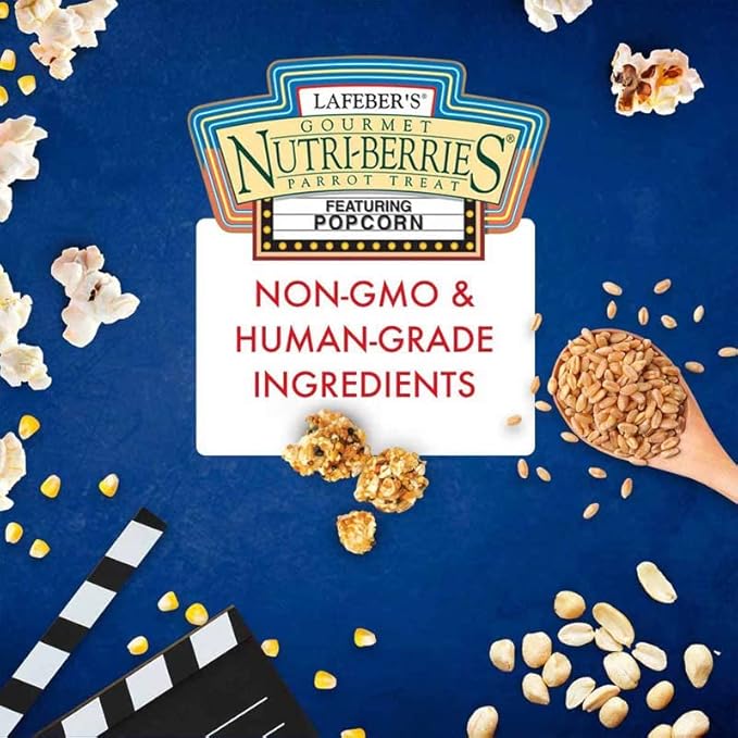 LAFEBER'S Popcorn Nutri-Berries, for Parrots, 4 oz Bag (Pack of 2)