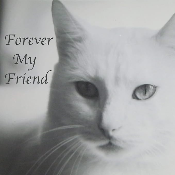 Pet Cremation Urns for Dogs Cats Ashes, Up to 60 lbs Dogs Cats Memorial Keepsake Urns for Ashes-Medium (Paw in Heart)