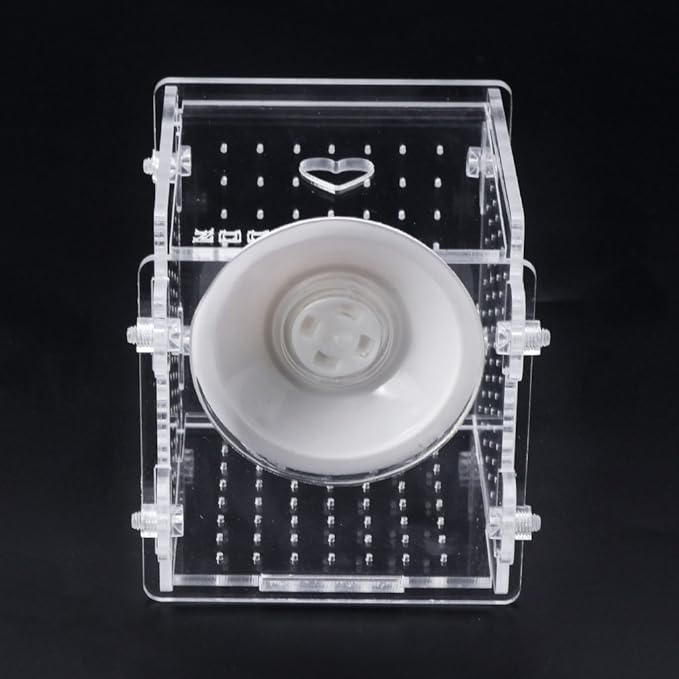 Fish for Tank Hatchery Incubator Aquarium Breeding Box Acrylic Breeder Isolation Hatching Boxes with Suction Cup on Large Net Mesh Aquarium Small Floating Large Mesh
