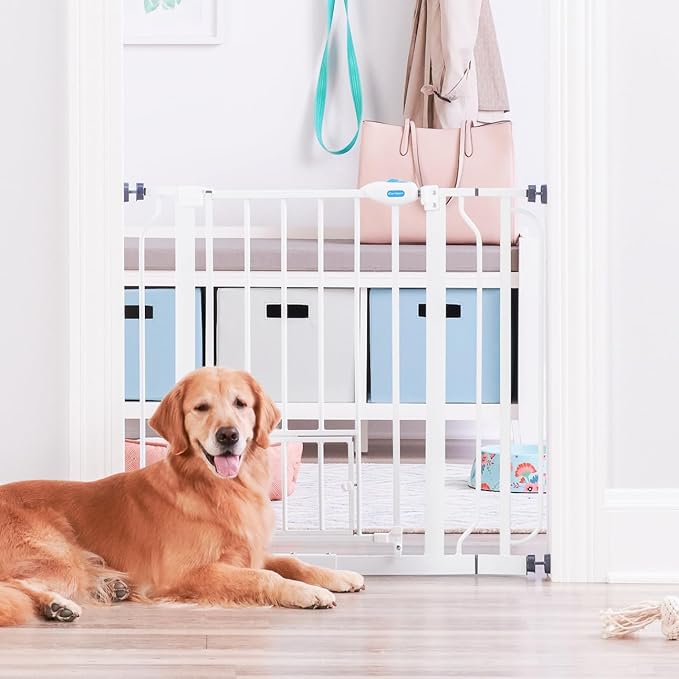 Carlson 29.5–36.5” Extra Wide Dog Gate with Small Pet Door, Walk-Through Pressure Mounted Metal Indoor Pet Safety Gate, Tested and Trusted by Pet Parents, American Designed, American Owned
