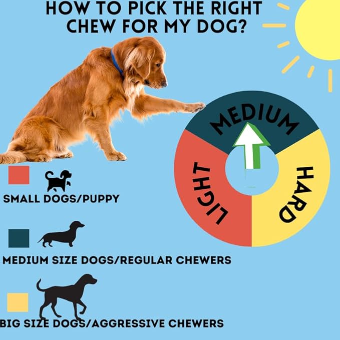 BULLYSTICKS & MORE 6 Inch Beef Cheek Springs for Dogs (10 Count) - Bully Springs Dog Chews - No Hide Bones