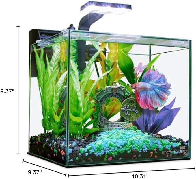 Imagitarium Glass Betta Aquarium Kit 2.5 Gallons