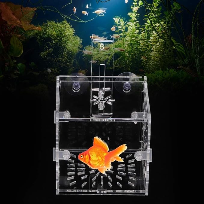 Rosvola Fish Isolation Box, Fish Breeding Incubator Aquarium Hatchery Fish Tank Isolation Box, Incubator Holder Transparent for Shrimp Aquarium(10Cm10Cm10Cm)
