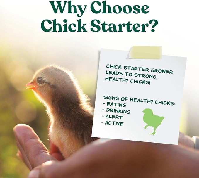 Manna Pro Medicated Chick Starter Grower, Crumbled Chick Feed with Amprolium, Complete Nutrition for Young Chickens, Supports Healthy Growth and Coccidiosis Prevention, 6-Pack of 5 lb Bags