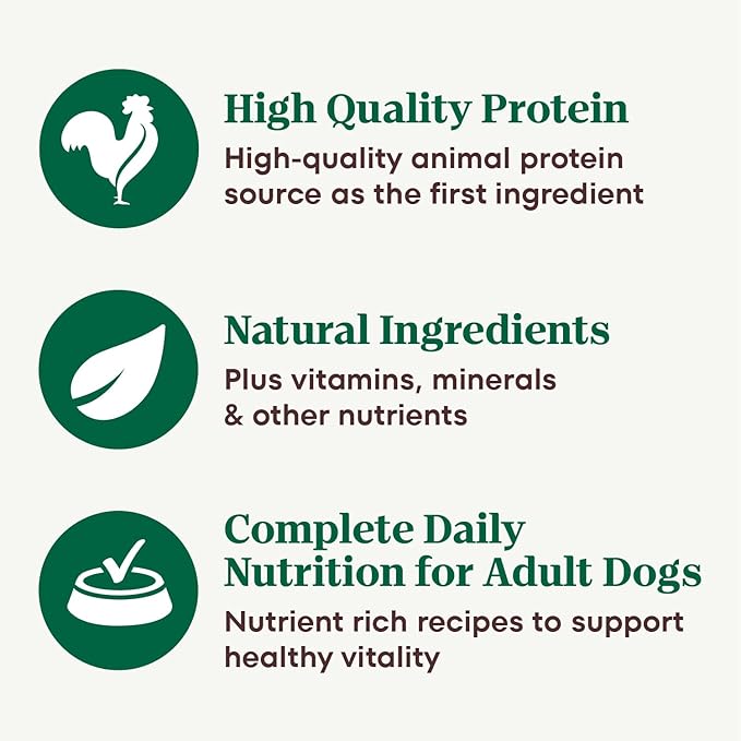 Nutro Natural Choice Cuts in Gravy Wet Dog Food,Grain Free Dog Food Wet Recipes,Beef,Lamb,Chicken,and Turkey Variety Pack,3.5 oz. Trays,36 Count (Pack of 2)