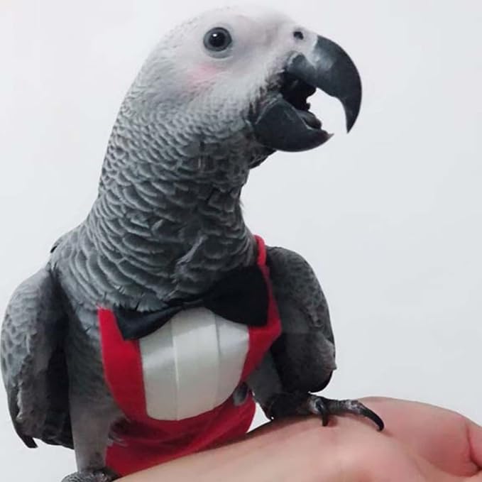 Bird Flight Suits Diapers, Parrot Flight Suits Diapers for Monk Parakeets, Cockatiels Flight Suits, Parrot Clothes, Bird Training Nappy Suit Liners Clothes (Small,Red)