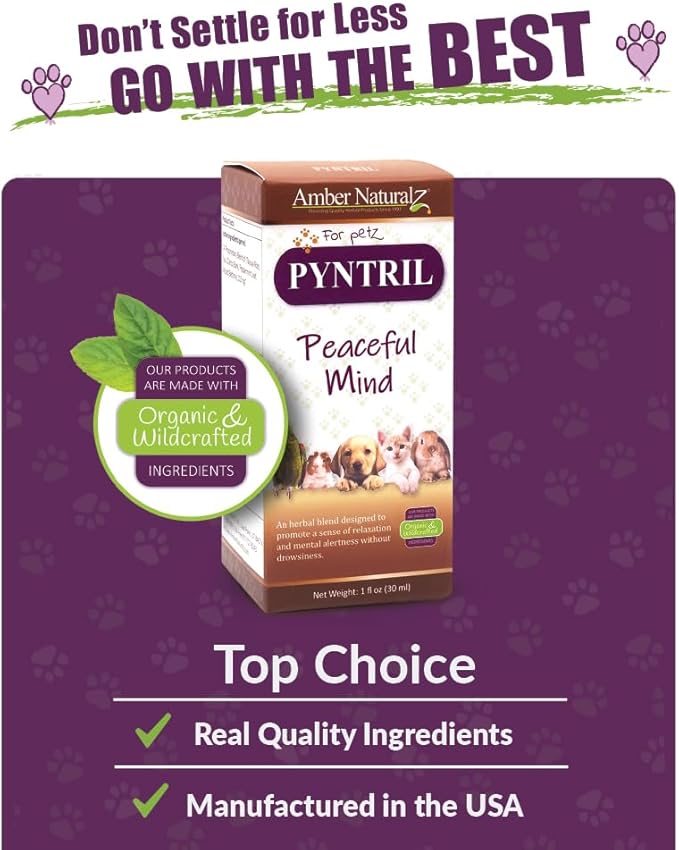 AMBER NATURALZ Pyntril Peaceful Mind Herbal Supplement for Dogs, Cats, Birds, Guinea Pigs, and Rabbits | Herbal Pet Supplement for Relaxation | 1 Fluid Ounce Glass Bottle | Manufactured in The USA