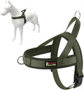 Plutus Pet No Pull Dog Harness with Breathable Mesh Padded, Adjustable Reflective Escape Proof Dog Harness, Quick Fit Dog Vest Harness for Small Medium Large Dogs(XS, Ranger Green)