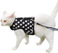 Cat Harness and Leash for Walking Escape Proof, Adjustable Cat Vest Harness, Padded Stylish Cat Walking Jackets, Polka Dot Black, X-Small