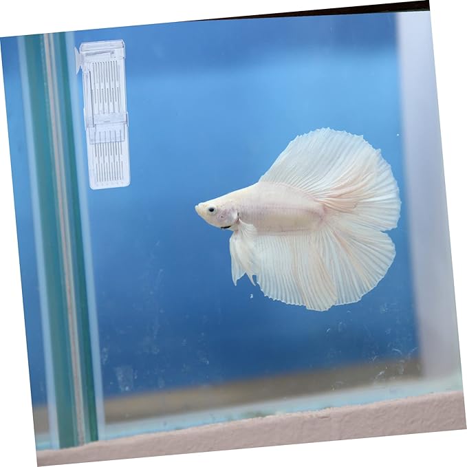 Breeding Tank Aquarium Isolation Box Fish Hatchery Box for Safe Fry Separation and Improved Survival Rate Water Design Dual Chamber Setup