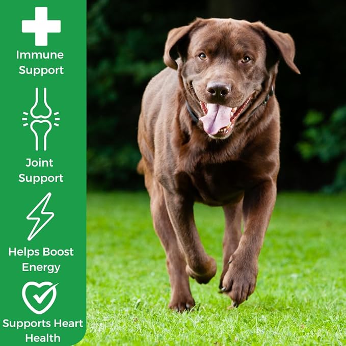 MYOS Immunity Chew for Dogs - Immune System Support, Antioxidants, Helps Cellular Health & Vitality- with Colostrum, Resveratrol, Astragalus Root, and Mushrooms- Daily Chewable Supplement