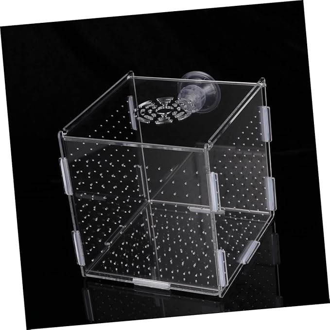 Mikikit Transparent Acrylic Fish Tank Breeding Isolation Box Multifunctional Hatching Incubator for Guppies Bettas Fish with Suction Cup Design