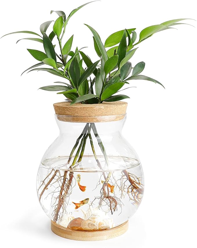 DOERDO Desktop Fish Bowl Landscape Bottle Mini Glass Terrarium Clear Glass Small Fish Tank for Small Betta Fish Plants, 7x5.9 Inch