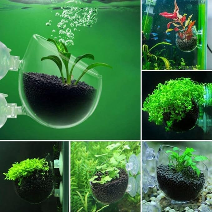 4Pcs Aquarium Plant Pot, Glass Fish Tank Planter with Suction Cups, Plants Holder Decoration Cup