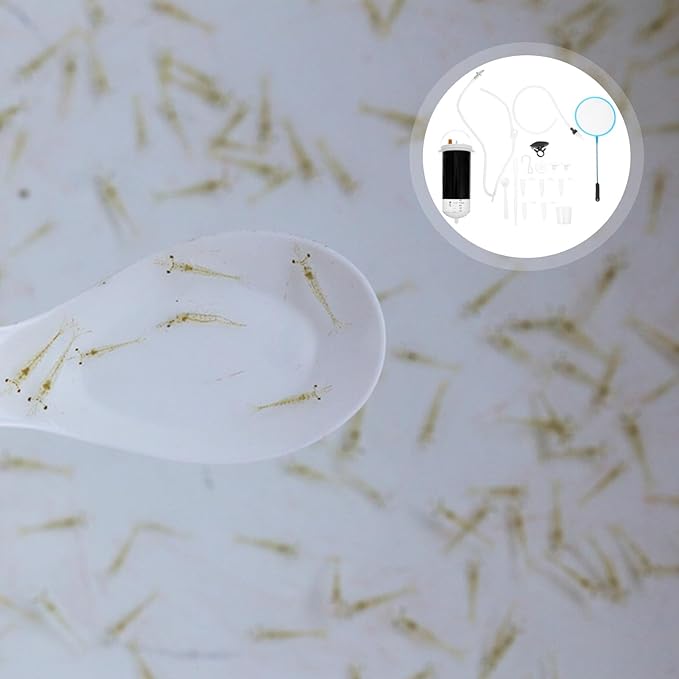 Brine Shrimp Hatchery Box Plastic Breeding Incubator Container Shrimp Egg Hatching Tank for Aquarium Fish and Aquatic Pets