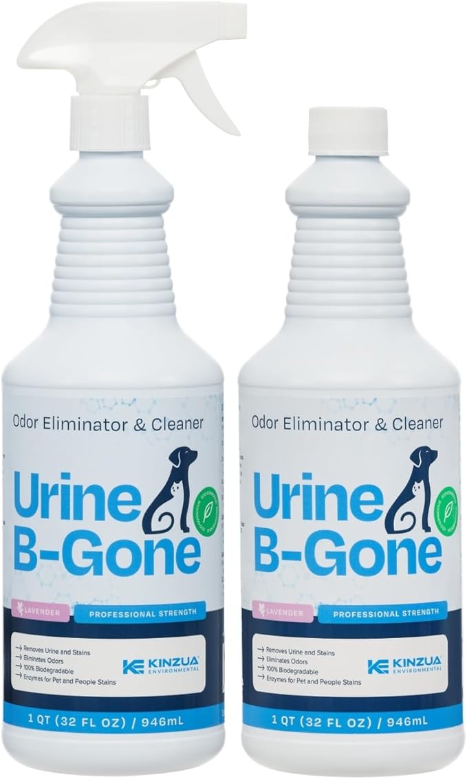 Urine B-Gone, Professional Enzyme Odor Eliminator & Pet Stain Remover, Human, Cat & Dog Urine Cleaner, Effective on Laundry, Carpets & More, Lavender Scent, 32oz, Pack of Two