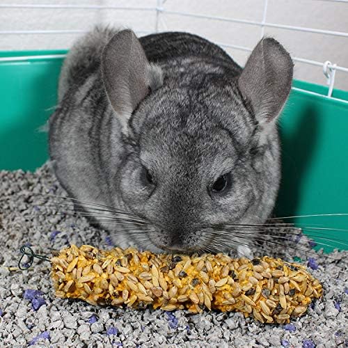 Vitakraft Crunch Sticks Honey Flavor with Added Calcium Chinchilla Treat (2 Sticks), 3.5 oz, Brown (Pack of 2)
