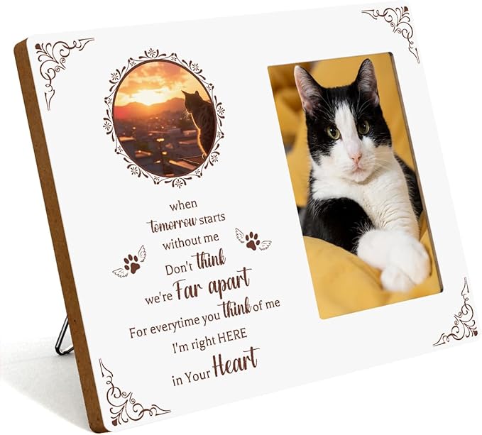 IAXIC Pet Cat Memorial Gifts for Loss of Cat, Sympathy Gift Memorial Picture Frame, Pet Memory Photo Frame, Cat Passing Picture Frames Memorial
