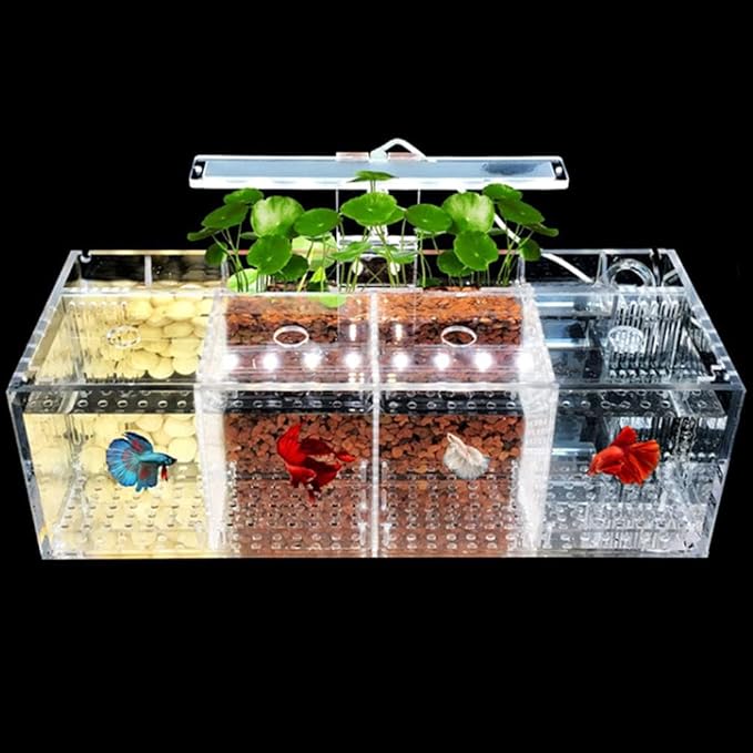 Acrylic LED Aquarium, Professional Betta Fish Tank, Transparent Aquarium Starter Kits, Ultra Clear Acrylic Fish Bowl, Rimless Desktop Betta Fish Tank,4 Rooms