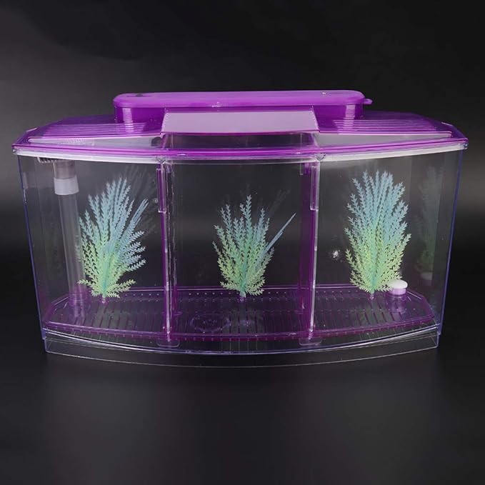 HEEPDD Triple Chamber Fish Breeder Box for Aquarium, Transparent Acrylic Small Fishes Breeding Isolation Box with Six LED Lights and Water Change Valve Breeder for Fish Tank (Purple)