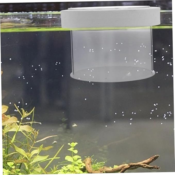 Mipcase Acrylic Fish Isolation Box for Shrimp Breeding Breeding Container Observation and Design for Aquarium Use and Fish Tank Divider