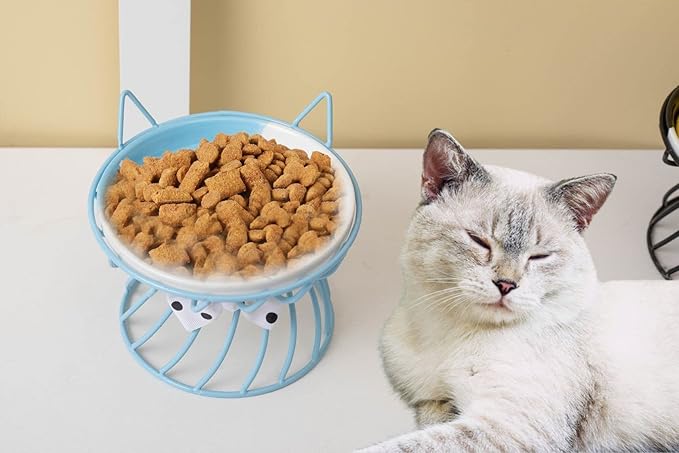 Raised Cat Food Bowl - Elevated Feeder Stand with Shallow Ceramic Dish, Whisker-Friendly No-Spill Water Bowl