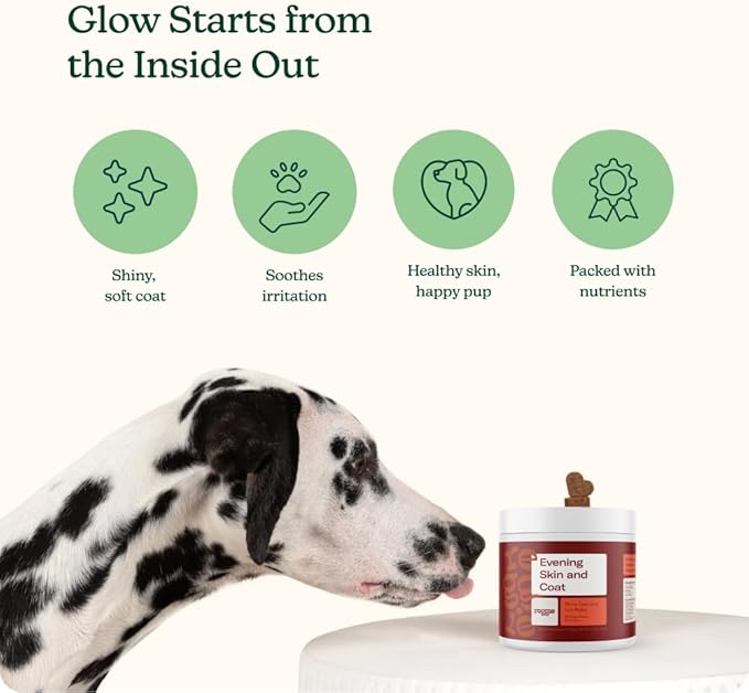 Reggie Skin & Coat Supplements for Dogs | Omega-3 Fish Oil & Vitamin E for Itchy Skin Relief, Shedding & Shiny Coat | Natural Dog Skin & Coat Chews | Vet-Approved & Made in USA | 60 Soft Chews