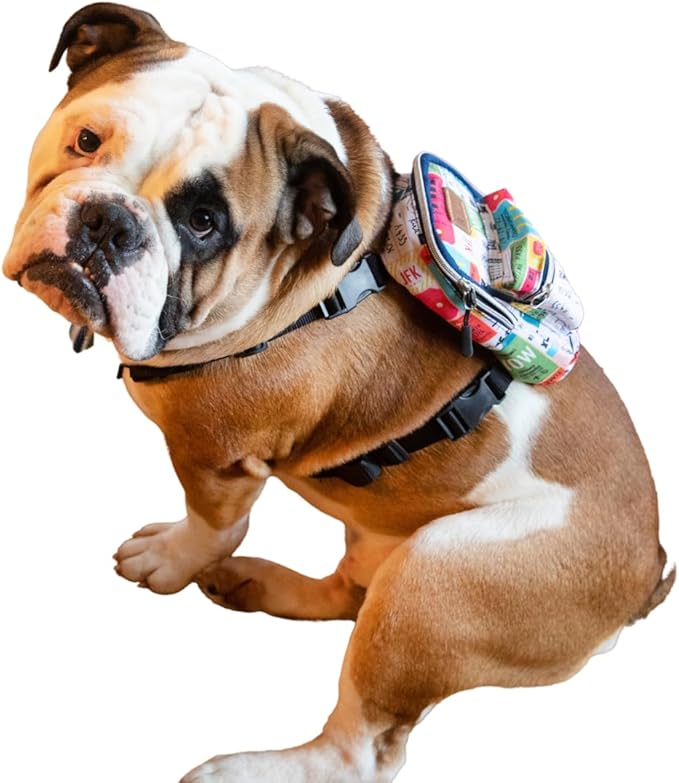 Pawlook Dog Backpack Harness – Street Smart | Waterproof, Adjustable, Breathable – Leash Attachment D-Rings, Poop Bag Pocket – Small & Medium Dogs – 8 Styles Traveller Medium