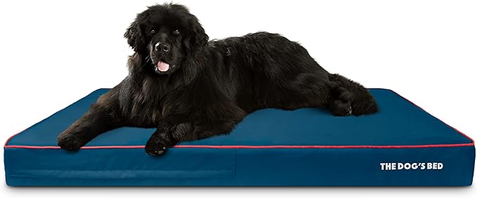 The Dog’s Bed Orthopedic Memory Foam Dog Bed Mattress, Oxford Fabric, Blue with Red Trim, XXXL, 6-Inch