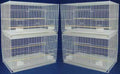Mcage Lot of Breeding Bird Flight Cages for Canary Parakeet Aviaries Budgies Lovebird Finch (Large 30" White)