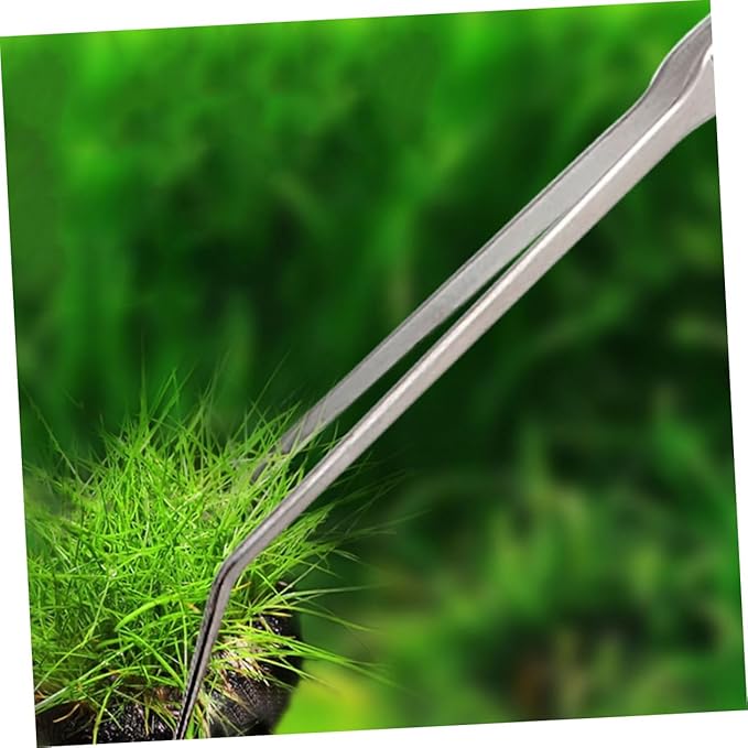 BESPORTBLE 2pcs Stainless Steel Aquarium Plants Tweezers Straight Curved Tongs for Fish Tank Maintenance Trimming Tools for Aquatic Plants Care