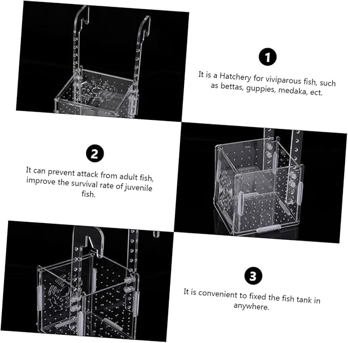BESPORTBLE 2pcs Fish Tank Breeding Isolation Box Transparent Aquarium Incubator Fish Holder Hook Easy to Clean Safe for Breeding Improves Juvenile Survival Rate