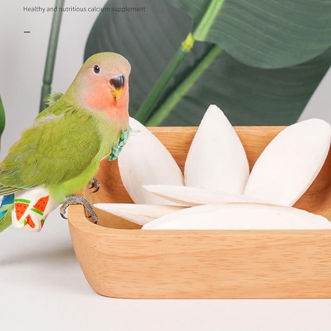 2 Pack Big Cuttlebones for Birds Parakeets Cockatiels African Greys All Parrots Tortoise Snails Animals, 6.3-6.5inch Large Cuttlefish Bones with Holder for Bird Cage
